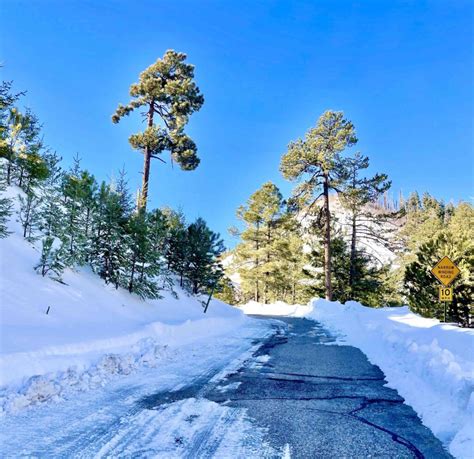 mount lemmon today.